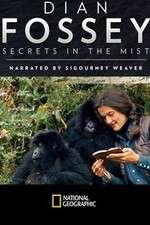 Watch Dian Fossey: Secrets in the Mist 123movies