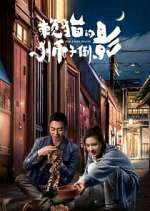 Watch The Lion's Secret 123movies