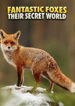 Watch Fantastic Foxes: Their Secret World 123movies