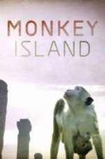 Watch Monkey Island 123movies