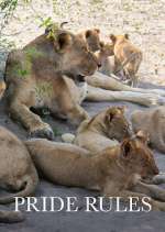 Watch Pride Rules 123movies