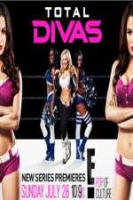 total divas tv poster