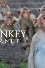 Watch Monkey Planet 123movies