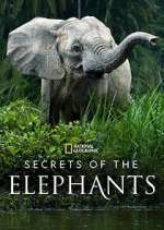 Watch Secrets of the Elephants 123movies