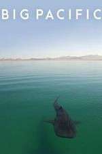 Watch Big Pacific 123movies