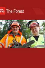 Watch The Forest 123movies