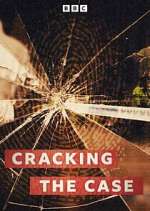 Watch Cracking the Case 123movies