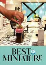 Watch Best in Miniature 123movies