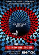 Watch Q: Into the Storm 123movies
