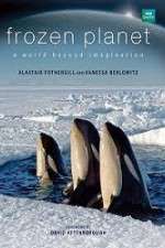 Watch Frozen Planet 123movies