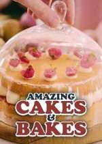 Watch Amazing Cakes & Bakes 123movies