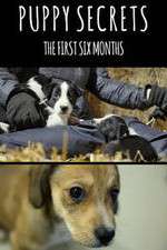 Watch Puppy Secrets: The First Six Months 123movies