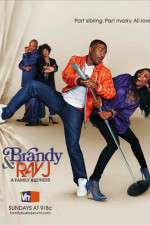 Watch Brandy and Ray J: A Family Business 123movies