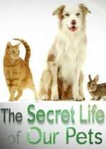 Watch The Secret Life of Our Pets 123movies