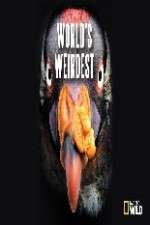 Watch National Geographic Worlds weirdest 123movies