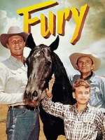 Watch Fury 123movies