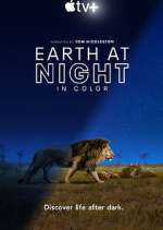 Watch Earth At Night In Color 123movies