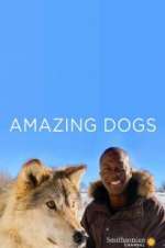 Watch Amazing Dogs 123movies