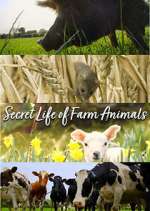 Watch Secret Life of Farm Animals 123movies