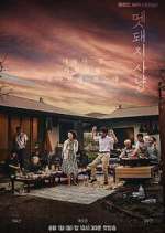 Watch Hunted 123movies