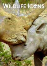 Watch Wildlife Icons 123movies