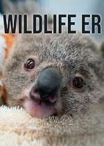 Watch Wildlife ER 123movies