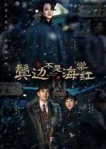 Watch Winter Begonia 123movies