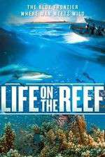 Watch Life on the Reef 123movies