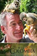 Watch Wild Colombia with Nigel Marven 123movies