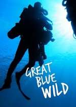 Watch Great Blue Wild 123movies