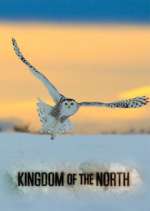 Watch Kingdom of the North 123movies