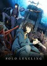 solo leveling tv poster