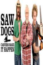 Watch Saw Dogs 123movies