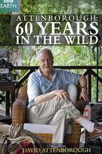 Watch Attenborough 60 Years in the Wild 123movies