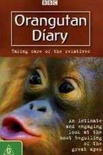 Watch Orangutan Diary 123movies