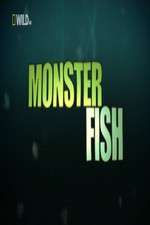 Watch National Geographic Monster Fish 123movies