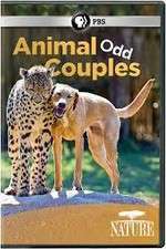 Watch Animal Odd Couples 123movies