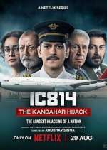Watch IC 814: The Kandahar Hijack 123movies