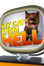 Watch My Cat from Hell 123movies