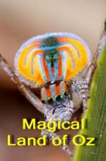 Watch Magical Land of Oz 123movies