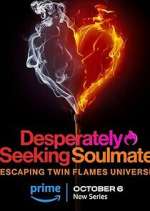 Watch Desperately Seeking Soulmate: Escaping Twin Flames Universe 123movies