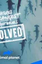 Watch Nature\'s Strangest Mysteries: Solved 123movies