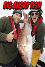 Watch Big Angry Fish 123movies