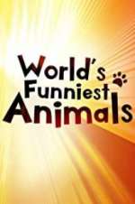 Watch The World\'s Funniest Animals 123movies