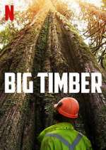 Watch Big Timber 123movies