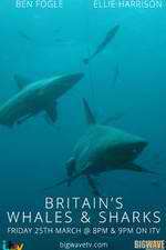 Watch Britain's Whales and Sharks 123movies