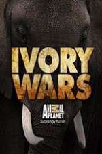 Watch Ivory Wars 123movies
