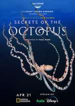 Watch Secrets of the Octopus 123movies