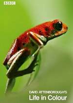 Watch Attenborough's Life in Colour 123movies