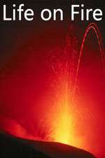 Watch Life on Fire 123movies